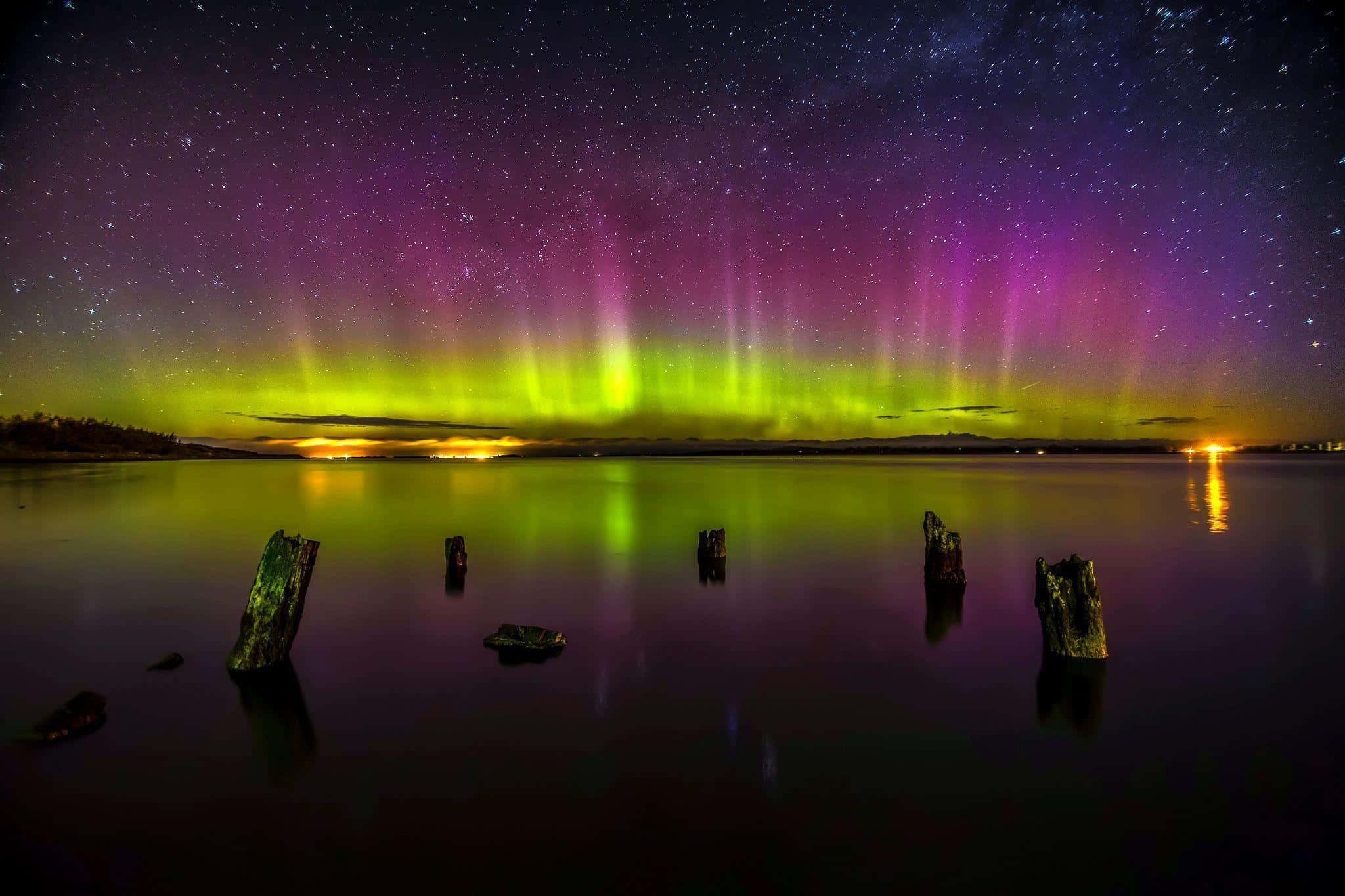 aurora borealis 桌布 壁紙 — 鮮豔的綠色和紫色極光在繁星點點的夜空中舞動，倒映在平靜的湖面上，湖邊有風化的木樁。