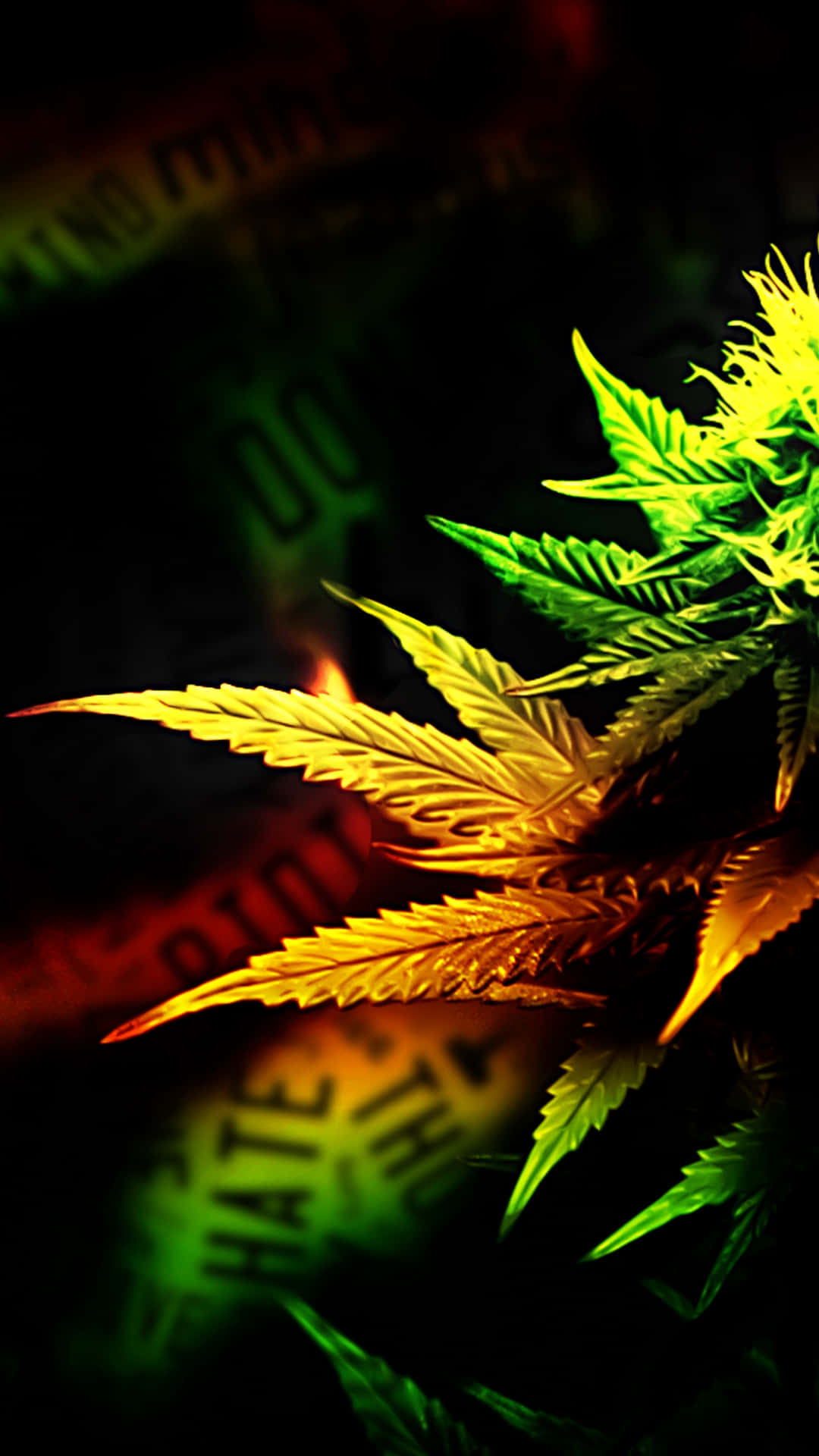 Phone Screen 桌布 壁紙 — 鮮豔的綠色和黃色大麻葉在帶有模糊紅色和綠色文字的深色背景上發光。
