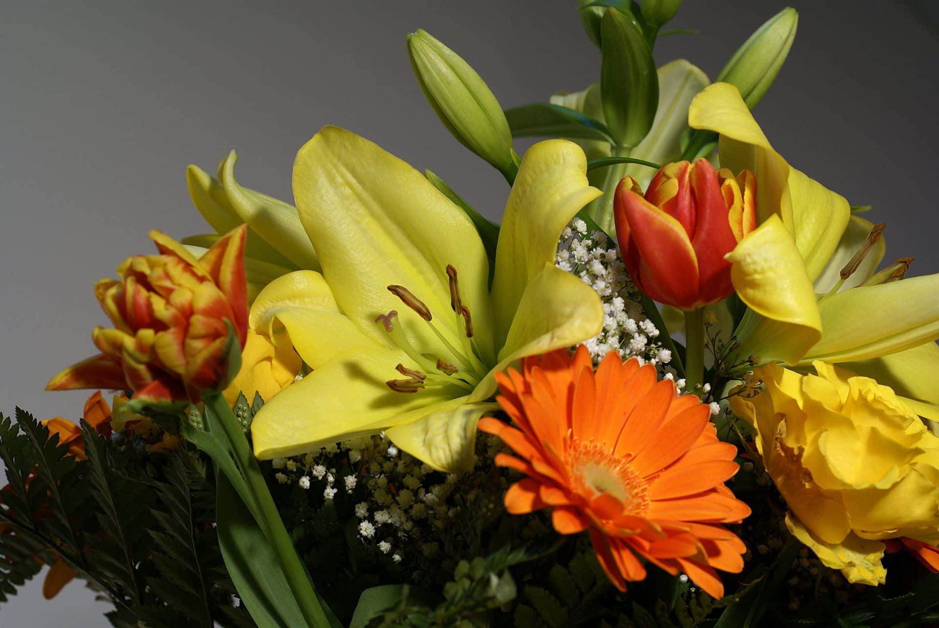 Flower Arrangement 桌布 壁紙 — 鮮豔的花束，包含黃色百合、橙色非洲菊和紅色鬱金香，點綴白色滿天星，背景為柔和的灰色。