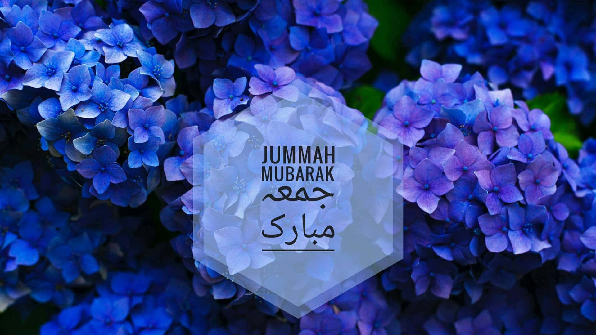 Jumma Mubarak 桌布 壁紙 — 鮮豔的藍色繡球花環繞著一個半透明的六邊形，上面有英文和阿拉伯文的「Jummah Mubarak」文字。