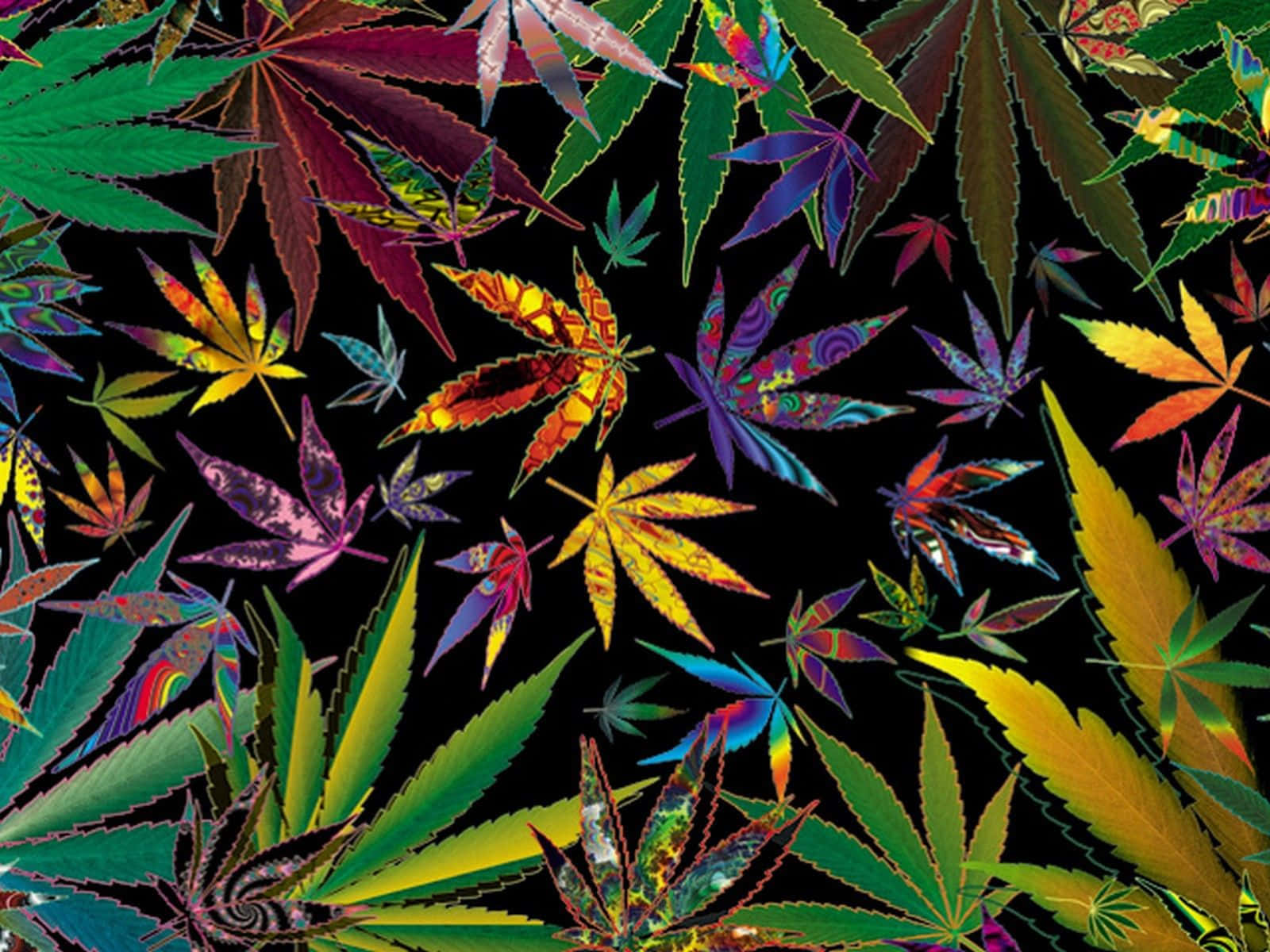 迷幻 桌布 壁紙 — 鮮豔的迷幻大麻葉以彩虹色調漂浮在純黑背景上。