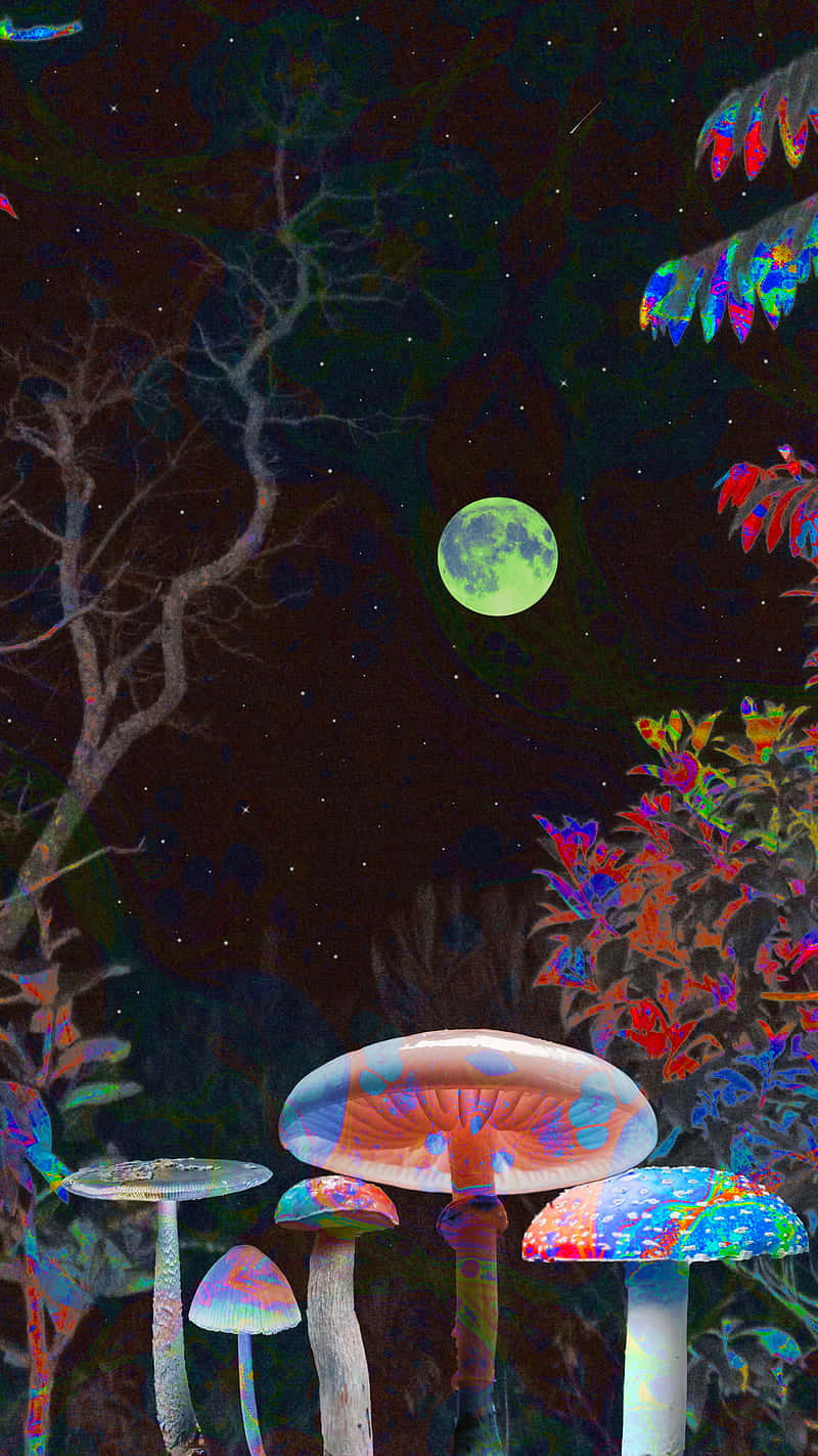 Trippy Mushroom 桌布 壁紙 — 鮮豔的迷幻蘑菇在綠色月亮下發光，位於一個有星空和發光葉子的超現實夜晚森林中。