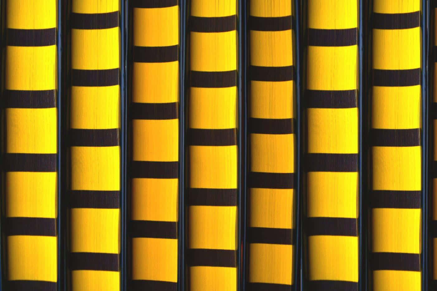 hufflepuff 桌布 壁紙 — 鮮豔的黃色和黑色條紋羽毛以緊密的垂直圖案排列，具有可見的紋理。