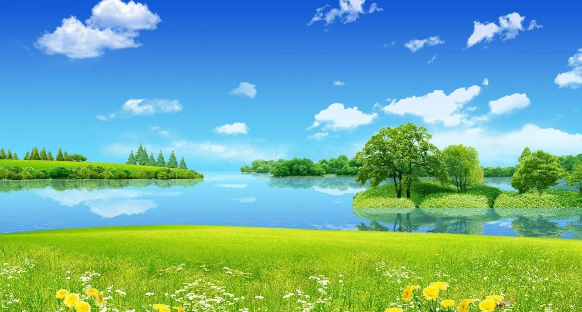 藍天白雲下，平靜湖泊旁的綠色草地，開滿黃色和白色的花朵。