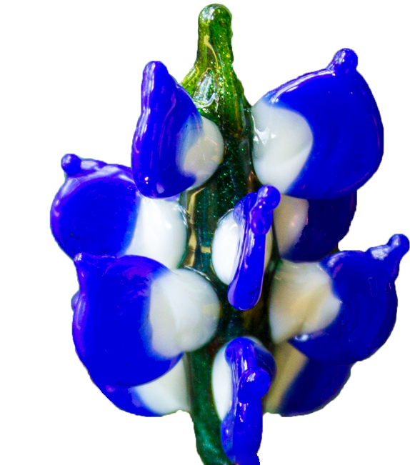 鮮豔藍色風信子花 壁紙 — 一朵鮮豔的藍白玻璃花，帶有綠色莖，在黑色背景下閃亮且半透明。