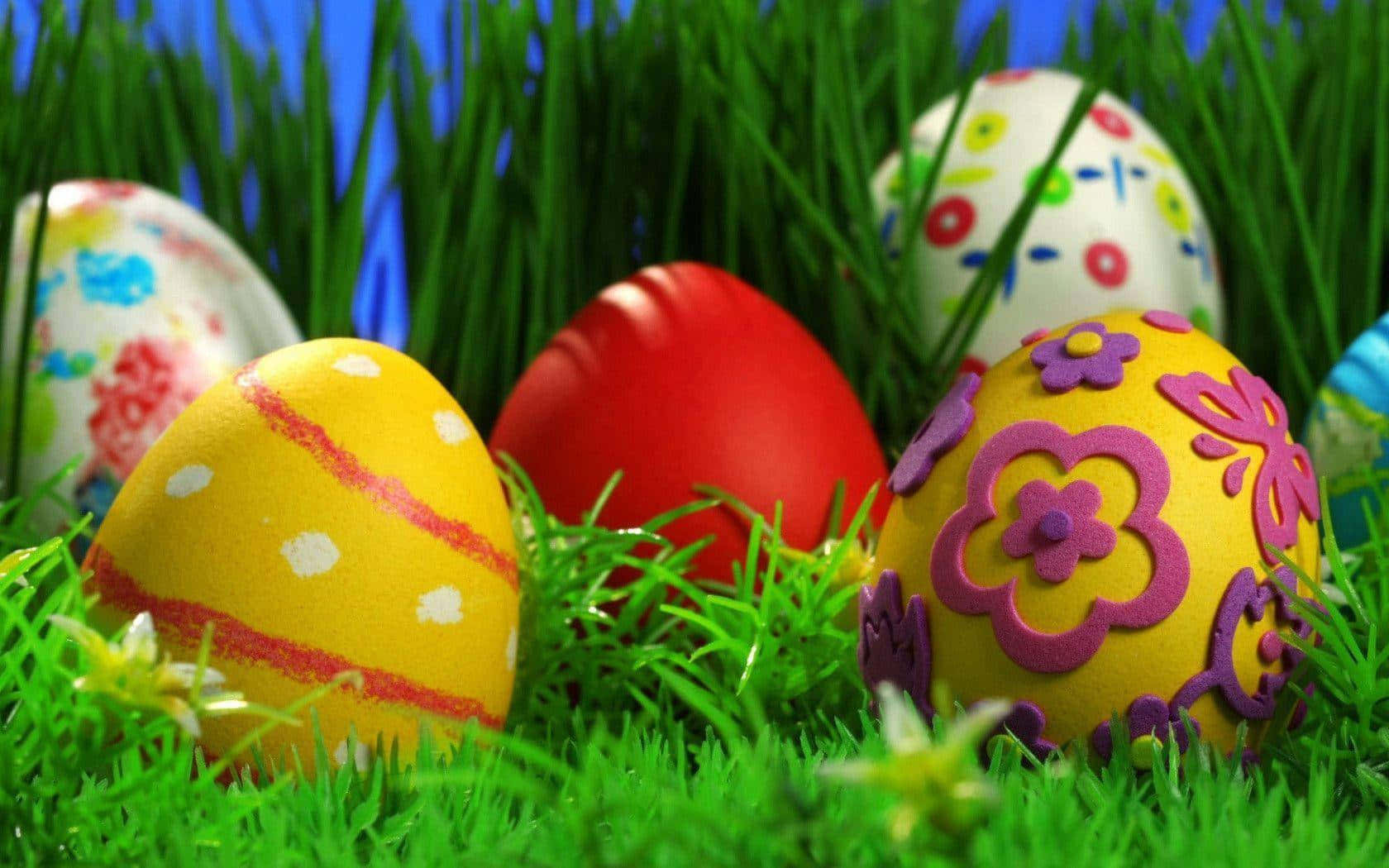 Eggs 桌布 壁紙 — 鮮豔裝飾的復活節彩蛋，依偎在茂盛的綠草中，頭頂是明亮的藍天。