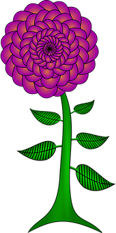 鮮豔霓虹花藝 壁紙