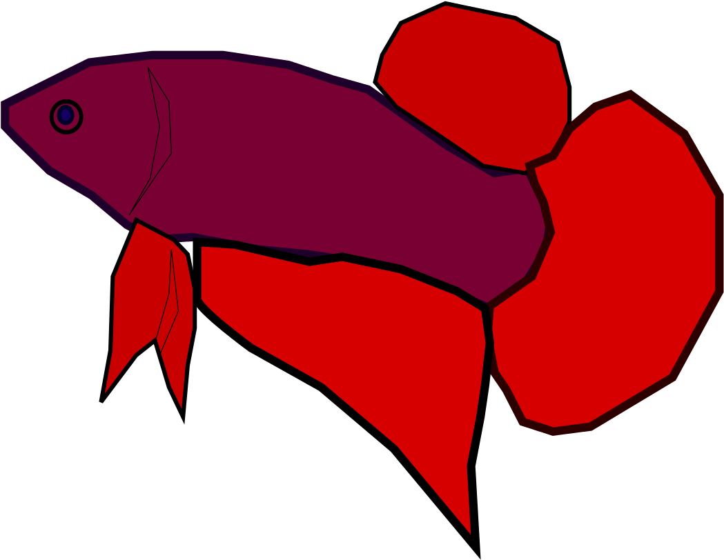 鮮豔鬥魚插畫 壁紙 — 一條風格化的鬥魚，深紫色身體和鮮紅色魚鰭，在純黑色背景上游動。