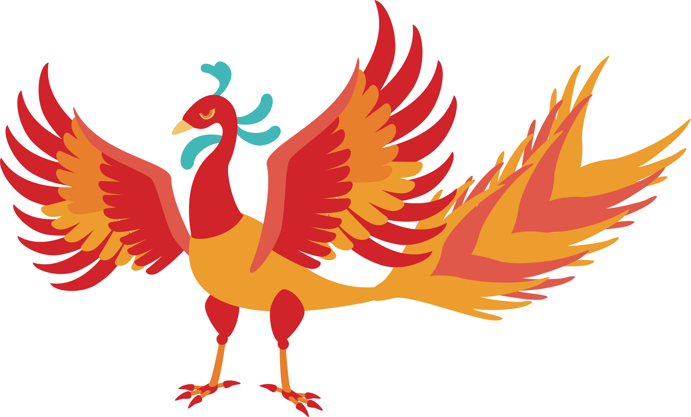 鮮豔鳳凰插畫 壁紙