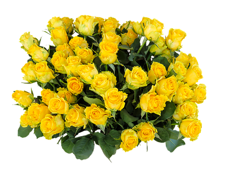 鮮豔黃玫瑰花束 壁紙
