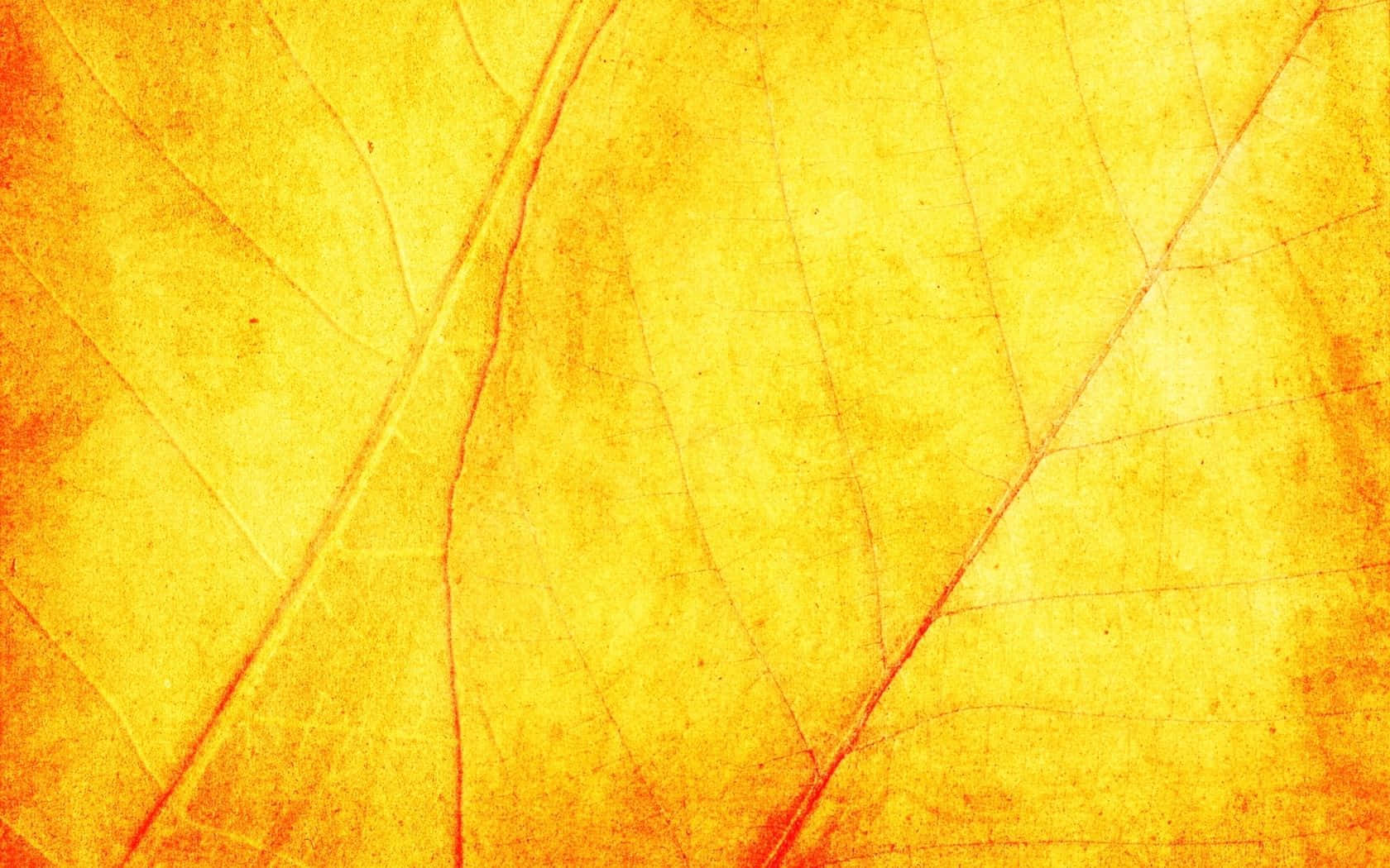 鮮豔黃色紋理背景 壁紙 — 充滿活力的秋葉特寫，帶有複雜的葉脈紋理和溫暖的金橙色調。
