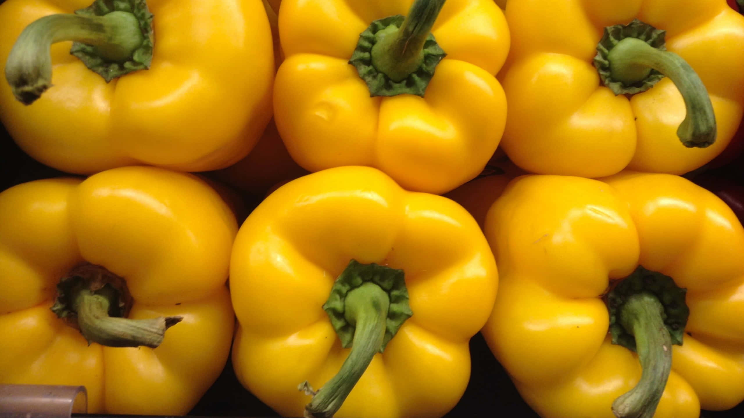 Yellow Bell Pepper 桌布 壁紙 — 鮮黃色燈籠椒配綠色莖部緊密排列，展現光澤表皮和自然曲線。