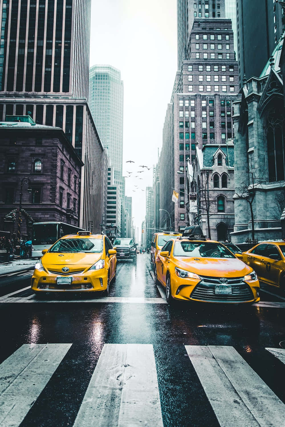 Yellow Cab 桌布 壁紙 — 鮮黃色的士在雨濕的城市峽谷中滑行，兩旁是高聳的摩天大樓和歷史建築。