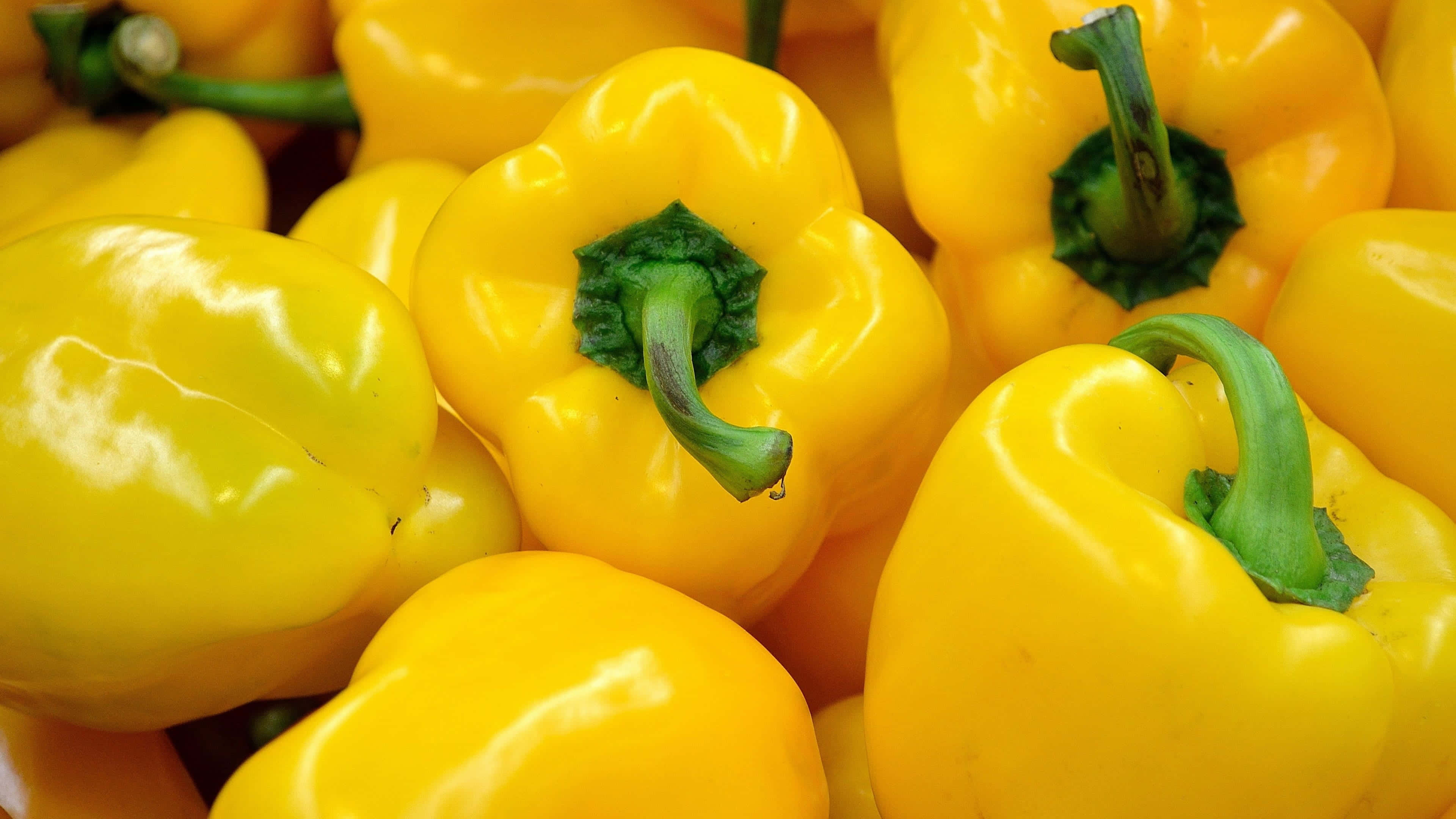 Yellow Bell Pepper 桌布 壁紙 — 鮮黃色的燈籠椒，表皮光滑，帶綠色莖部，堆疊在一起的特寫鏡頭。