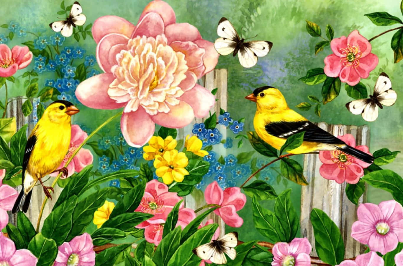 Spring Birds 桌布 壁紙 — 鮮黃色的鳥兒棲息在粉紅牡丹、藍色花朵和翩翩起舞的蝴蝶之間，背景是木柵欄。