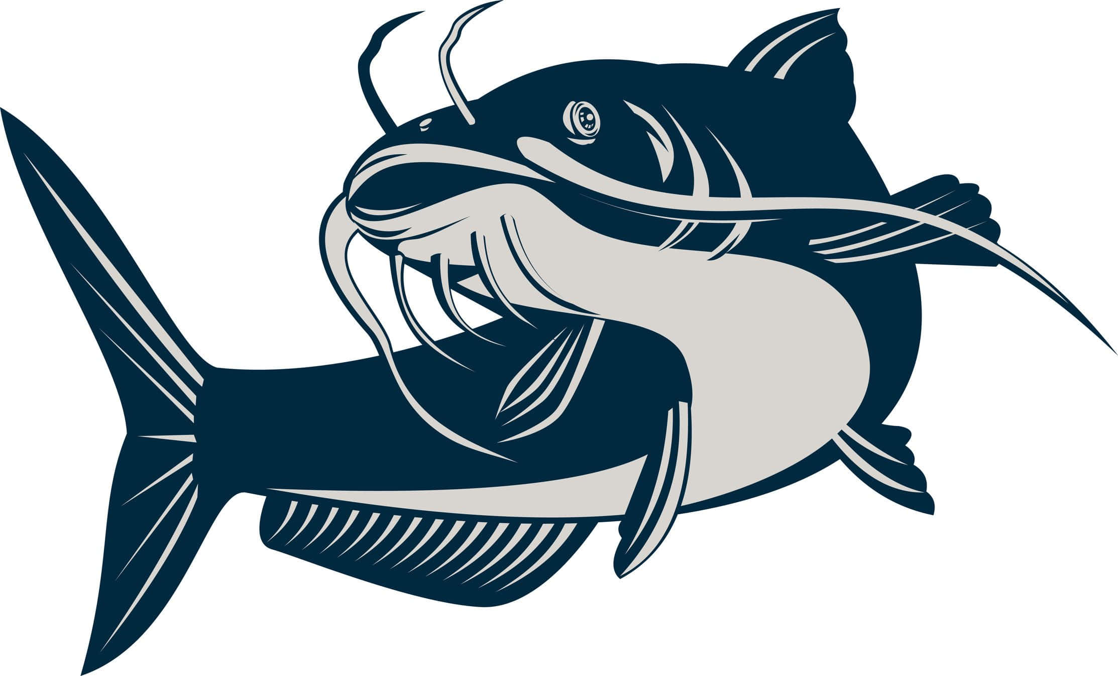 鯰魚數位繪畫 壁紙 — 以海軍藍和灰色繪製的風格化鯰魚插圖，帶有粗白色輪廓和詳細的魚鰭。