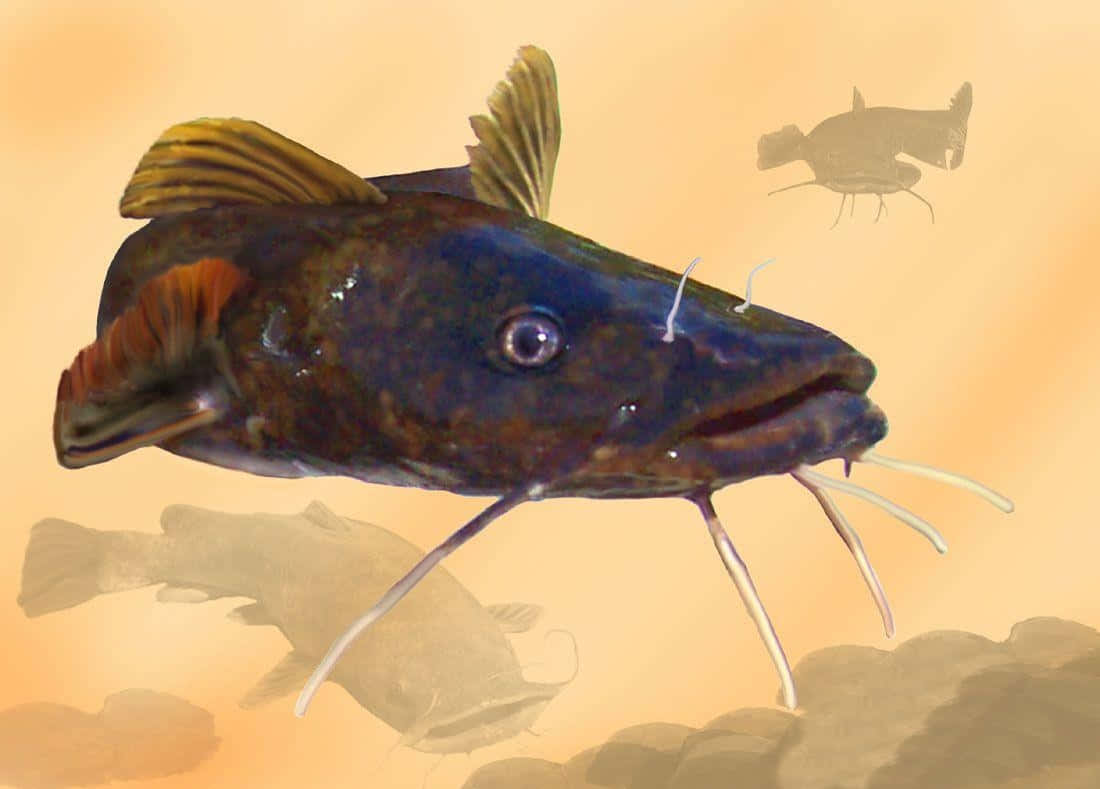 鯰魚繪畫 壁紙 — 一條深藍色鯰魚帶有突出的鬍鬚，在渾濁的水中游泳，並有其他魚的模糊剪影的詳細插圖。