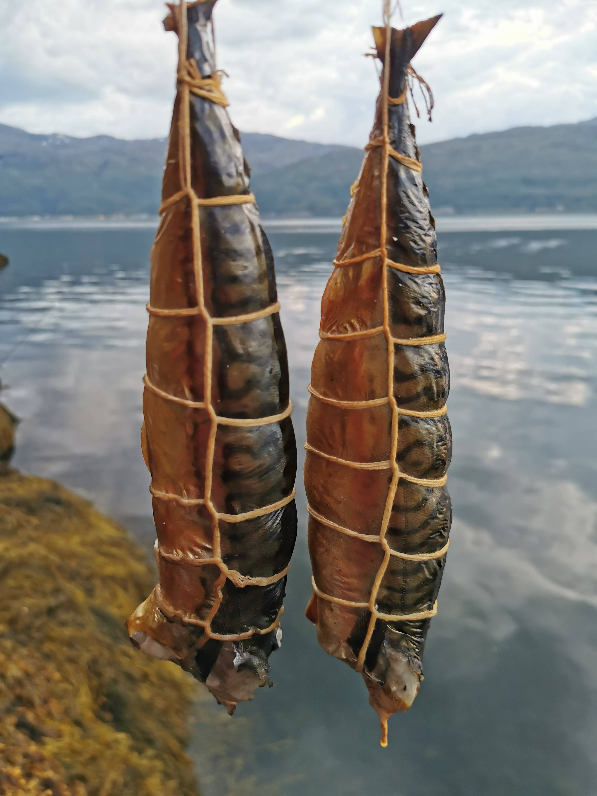 鰹魚釣餌 壁紙 — 兩條用繩子綁著的煙熏魚掛在平靜的水面和遠山背景下，天空多雲。