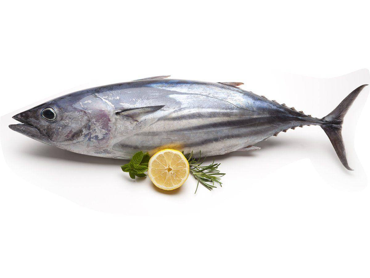 鰺魚配檸檬 壁紙 — 一條新鮮的完整吞拿魚，帶有銀色鱗片，旁邊放著一片檸檬和迷迭香，背景為白色。
