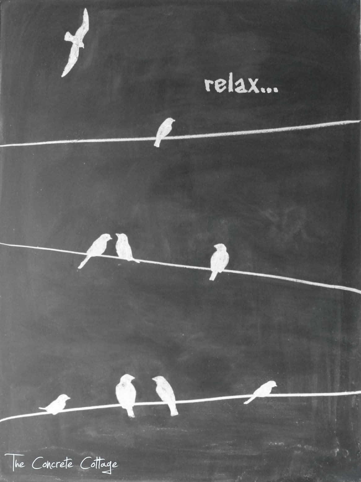 深色黑板上的白色粉筆鳥和 relax 文字。
