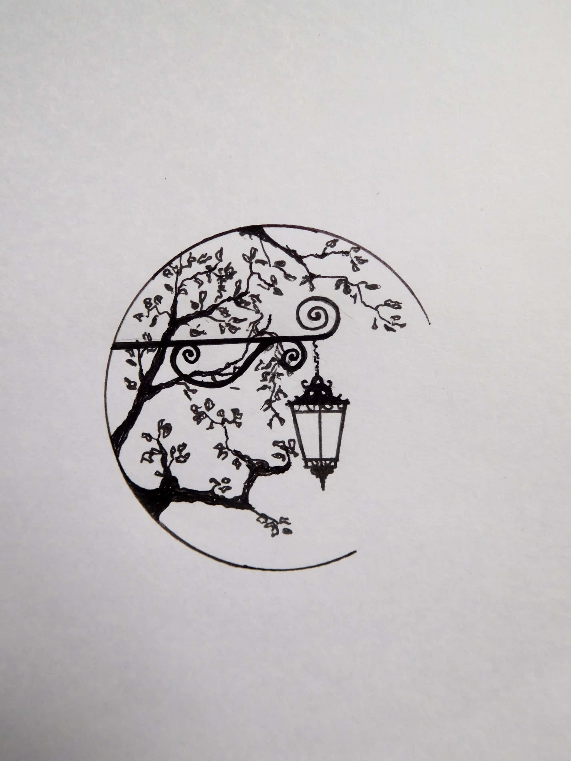 鳥兒的美學繪畫 壁紙 — 黑色墨水插圖，新月框架帶有精緻樹枝和懸掛燈籠。