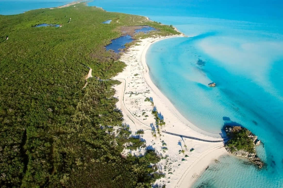 Bahamas Island 桌布 壁紙 — 鳥瞰圖：原始白沙灘沿著碧綠海水蜿蜒，邊緣是茂密的綠色叢林。