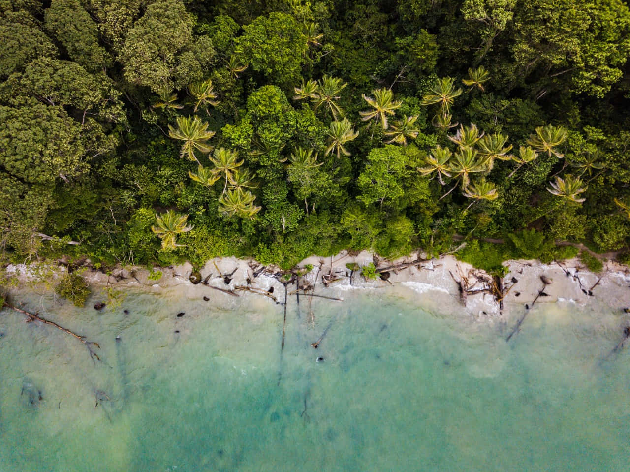 Eco-tourism 桌布 壁紙 — 鳥瞰圖：碧綠海水與白色沙灘相接，沙灘邊緣是茂密的綠色叢林和棕櫚樹。
