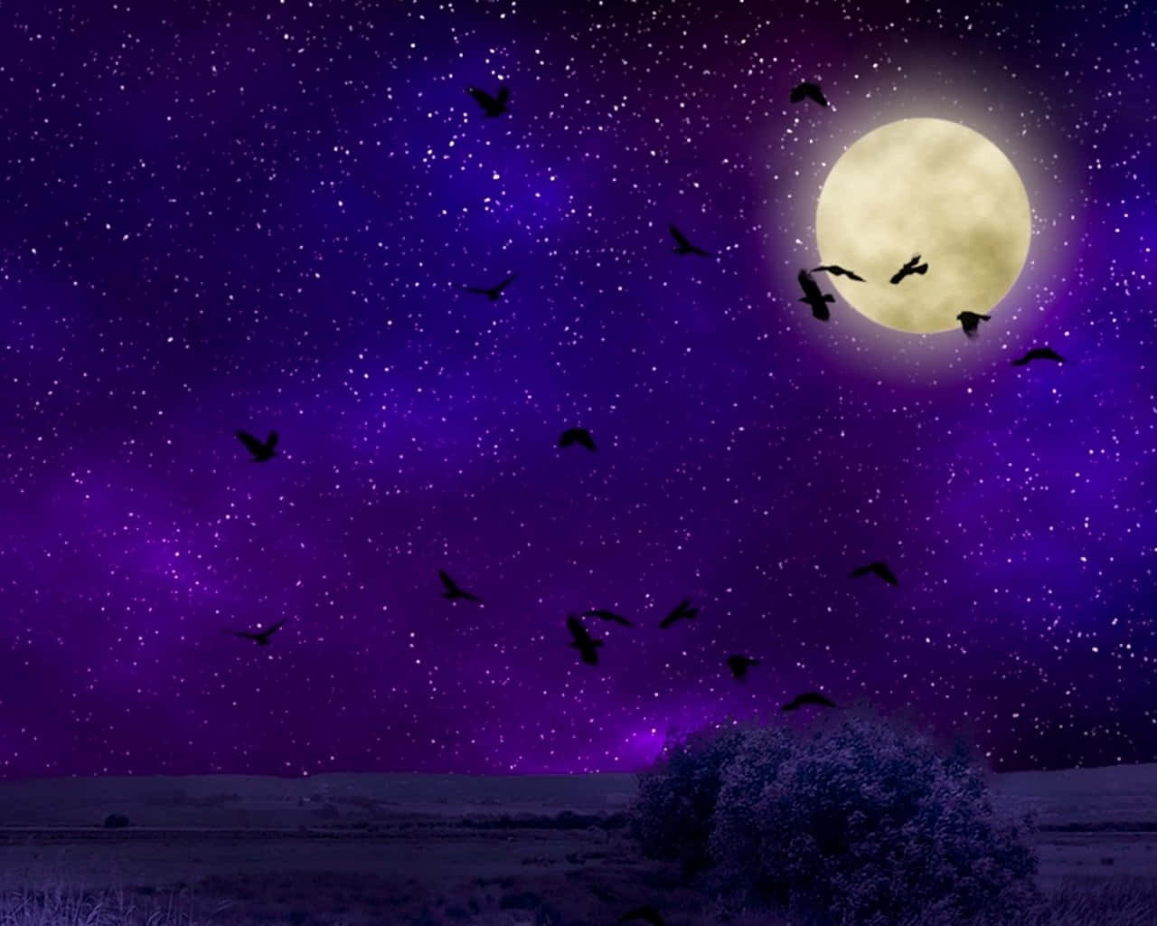 一群鳥兒在滿月下於星空紫色天空中飛翔。