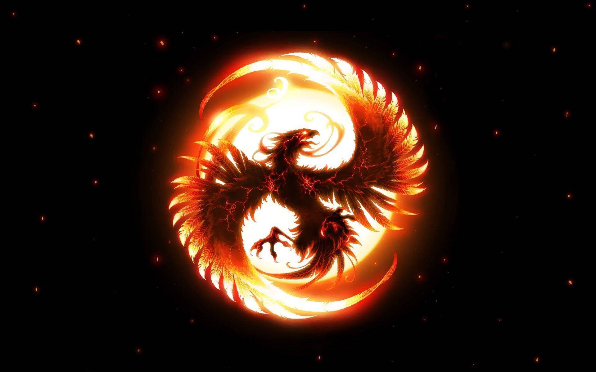 一隻發光的鳳凰龍在佈滿星星的黑色背景上以火熱的動作旋轉。