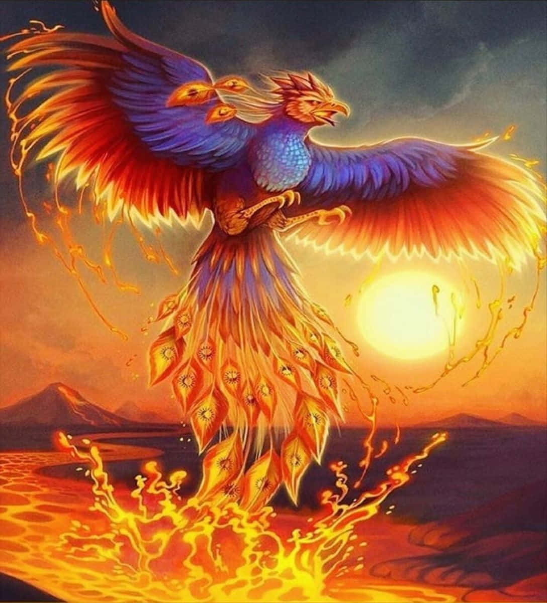 鳳凰城浪漫日落 壁紙 — 一隻擁有藍色和橙色羽毛的雄偉鳳凰，從熔岩池中升起，背景是熾熱的日落天空。