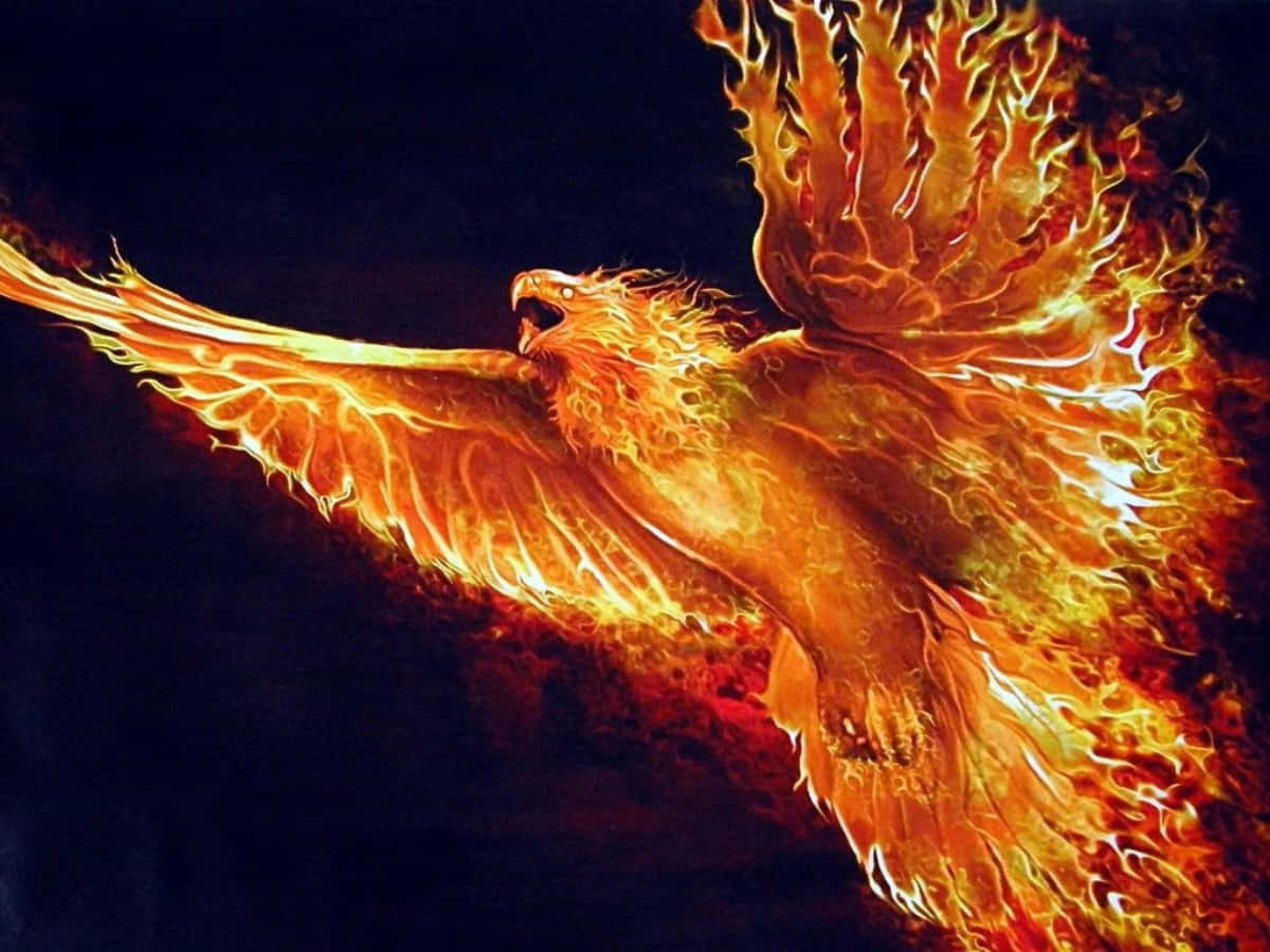 鳳凰城美麗的沙漠景觀 壁紙 — 一隻雄偉的火焰鳳凰在漆黑的夜空中展翅翱翔，翅膀燃燒，散發出強烈的橙色和金色火焰。
