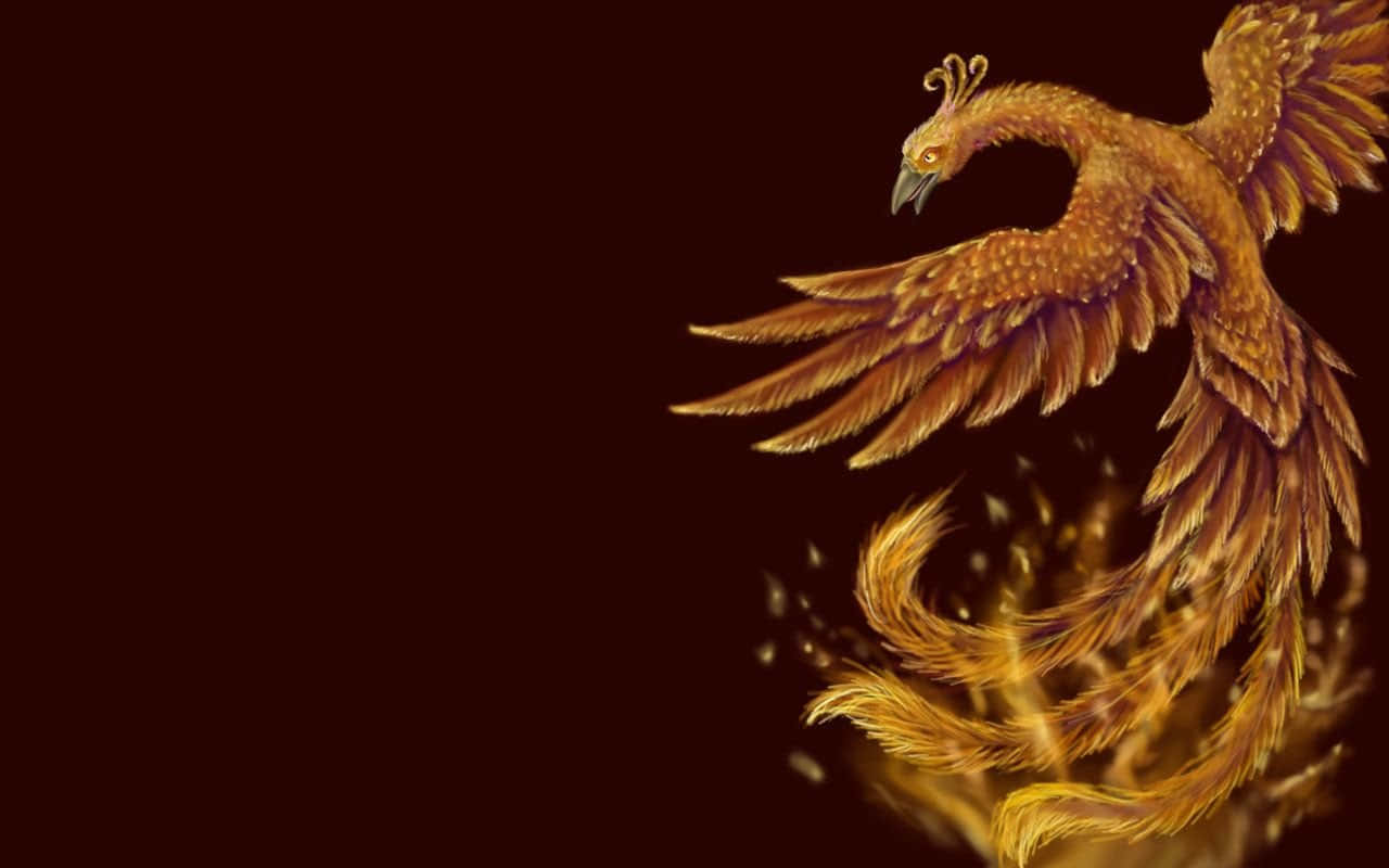 一隻金色鳳凰，尾羽如火，在黑暗背景上翱翔。
