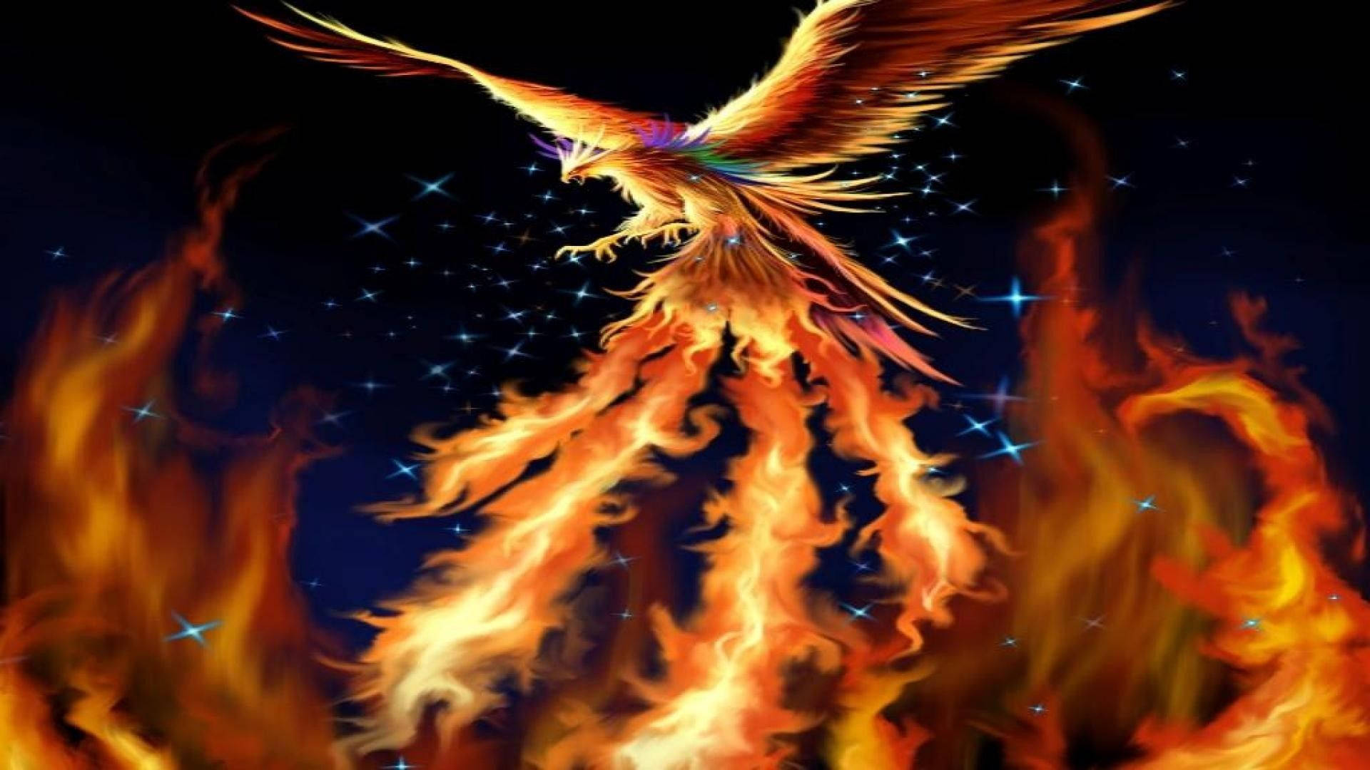 一隻帶有彩虹羽毛的火鳳凰，在星空下從火焰中升起。