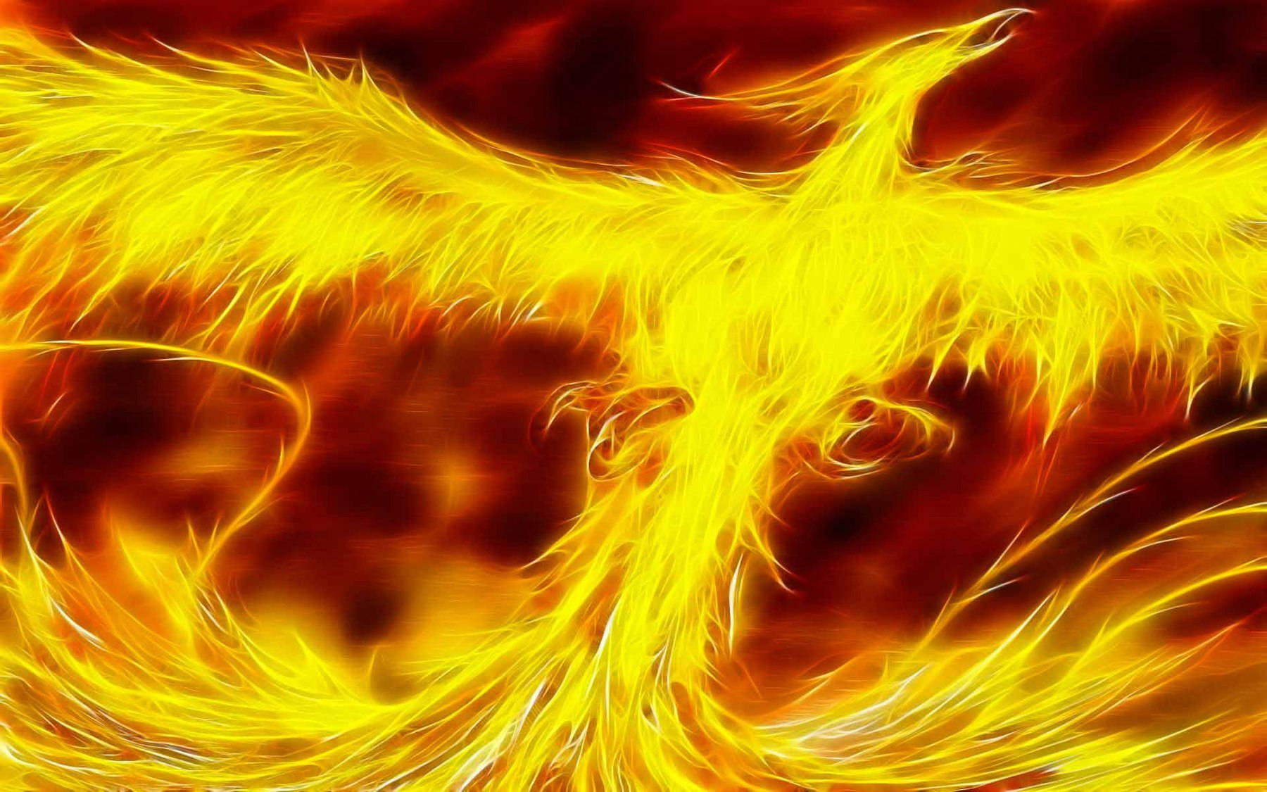 鳳凰火翼 壁紙 — 一隻燦爛的金色鳳凰展開火焰般的翅膀，在旋轉的紅色和橙色背景上翱翔。