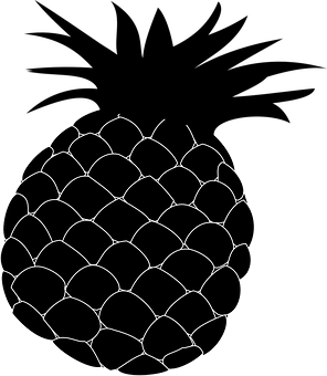 鳳梨素描藝術
