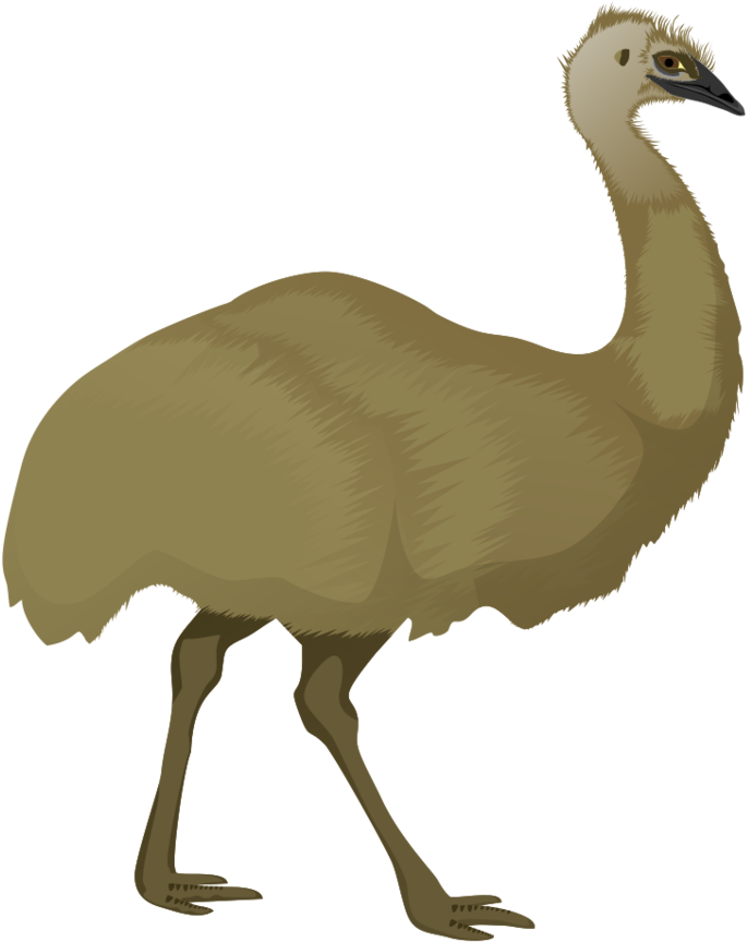 鴕鳥側面插圖 壁紙 — 一隻鴯鶓企喺純黑色背景前，帶有紋理嘅棕色羽毛嘅風格化插圖。