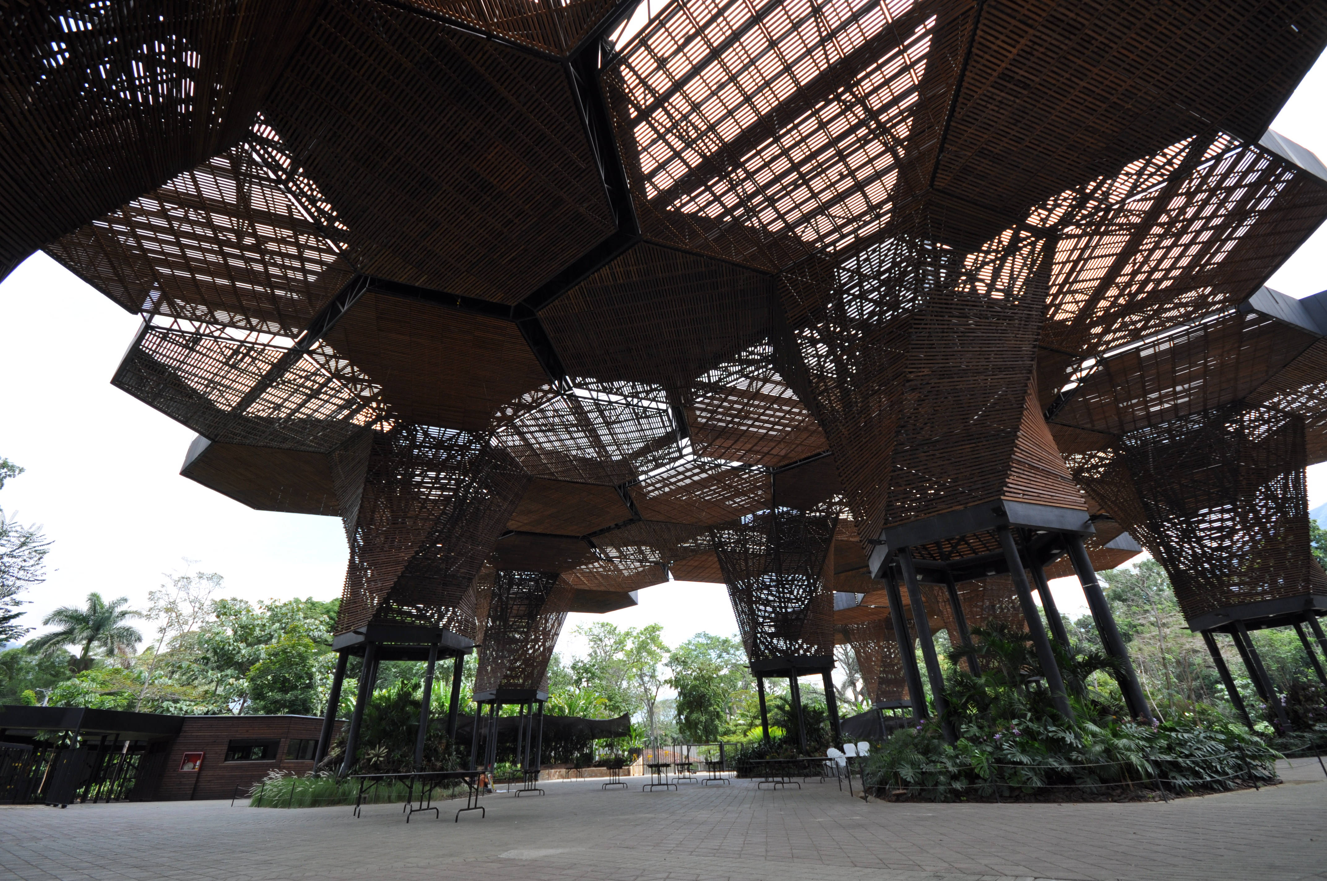 麥德林市蘭花館 壁紙 — 一個低角度視角，展示現代木製格子天篷結構，帶有六角形面板，在鋪砌的廣場上投下斑駁的陰影，周圍環繞著茂密的綠植。