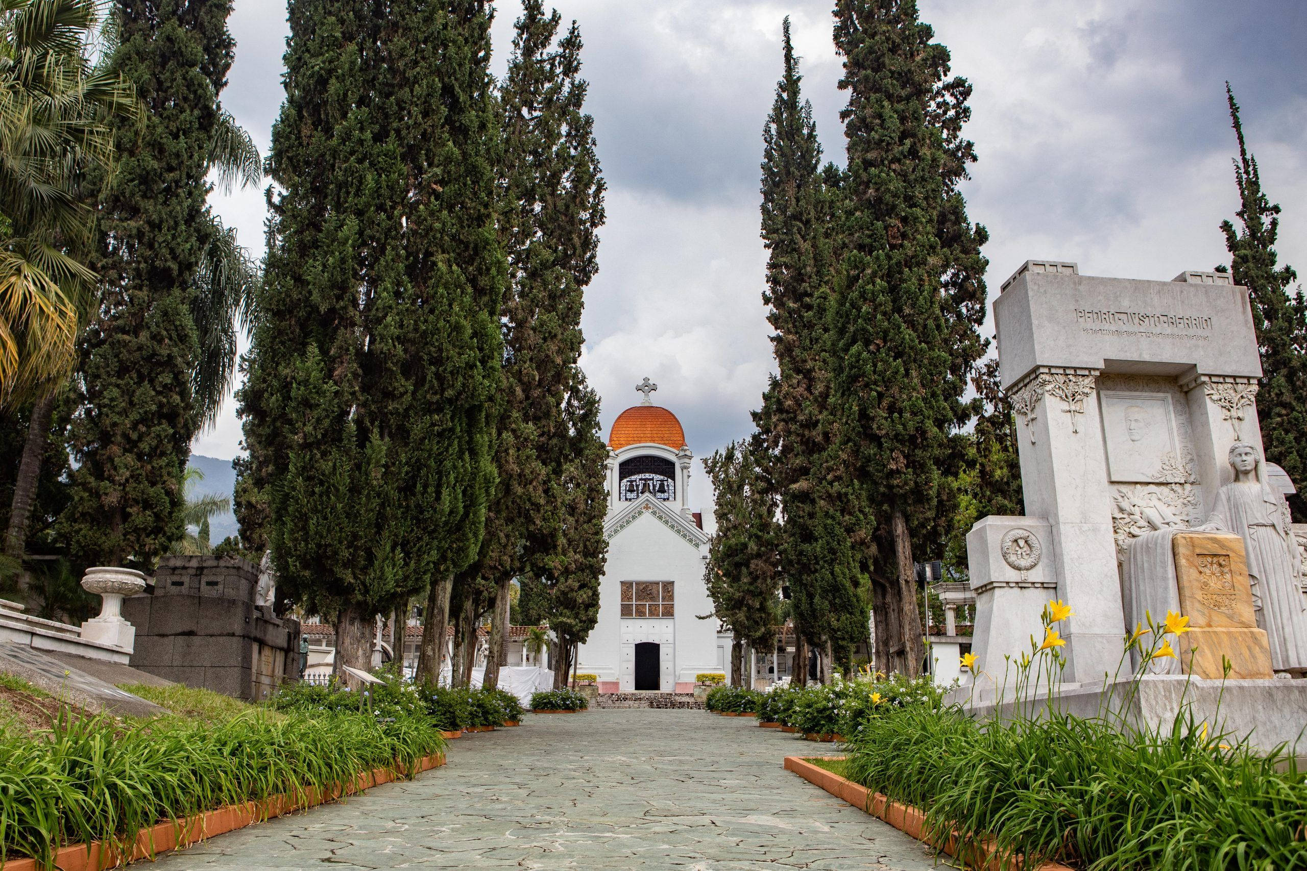 麥德林聖佩德羅墓園博物館 壁紙 — 一條由高大柏樹排列的石徑通往寧靜墓園中一座帶有橙色圓頂的白色小教堂。