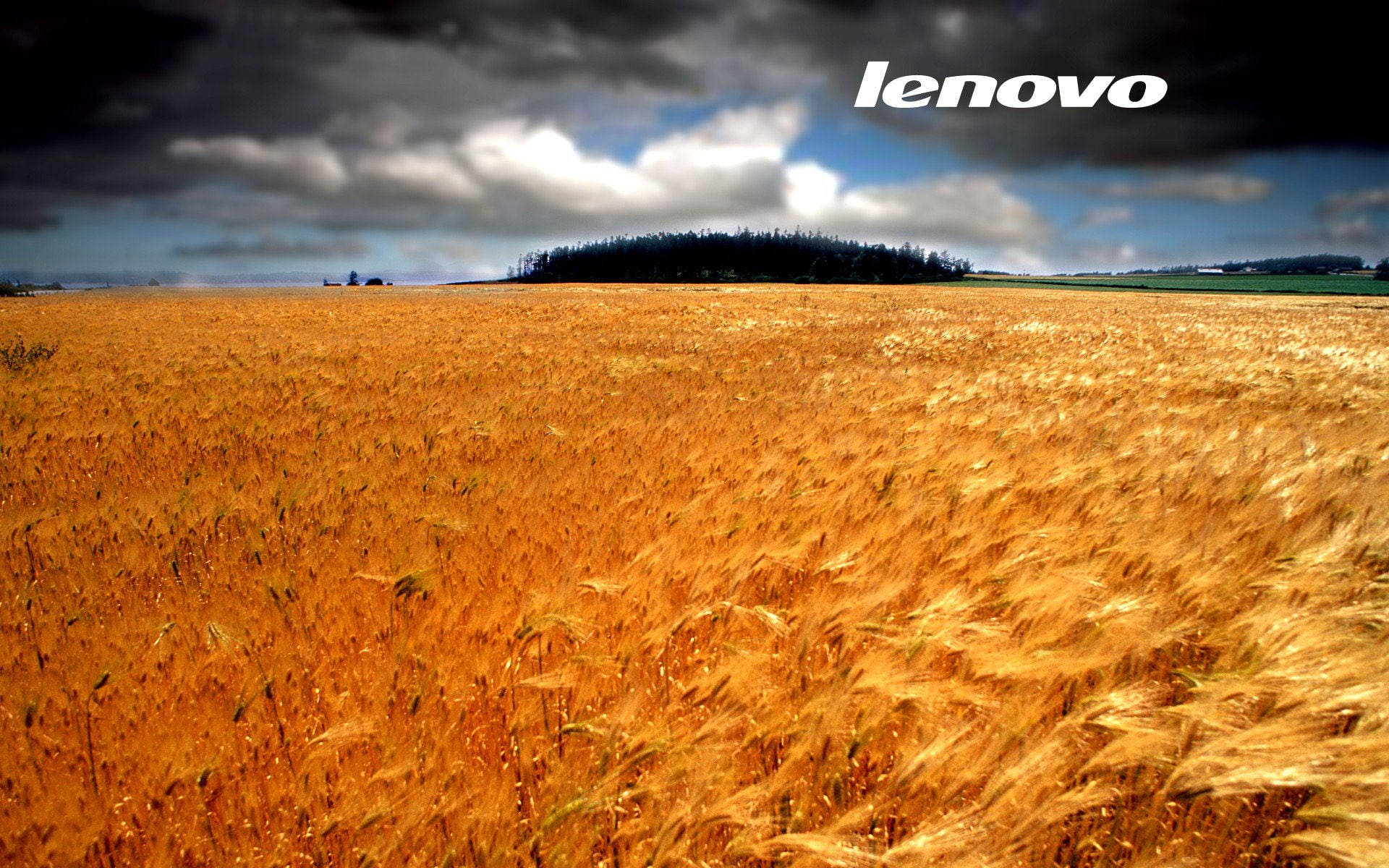 暴風雨天空下的金色麥田，Lenovo標誌可見。