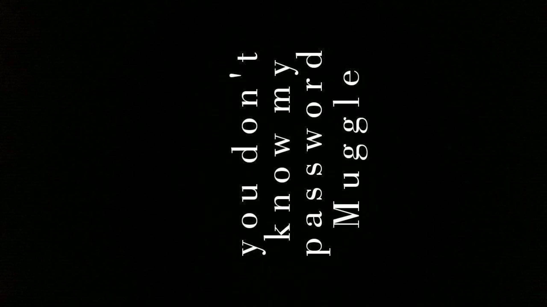 文字警告，在黑色背景上寫著 you don't know my password Muggle。