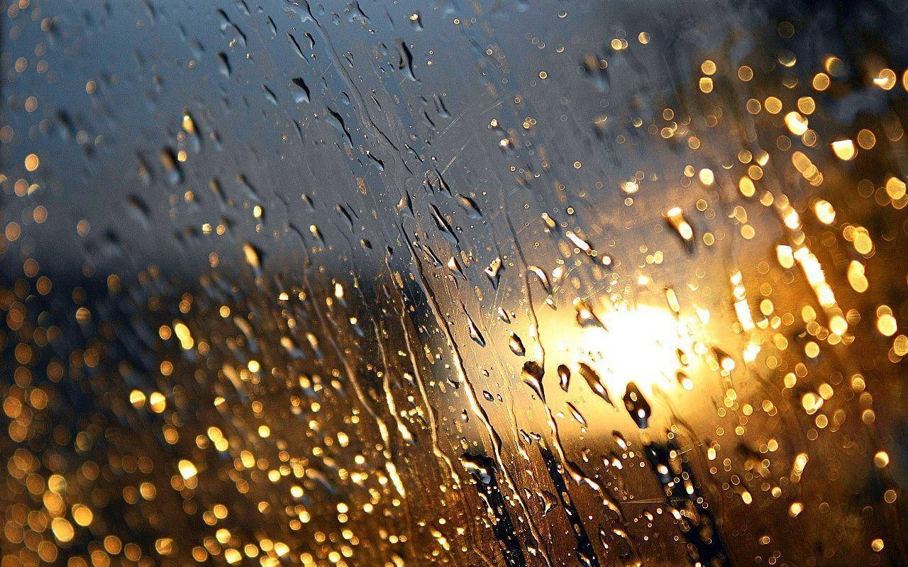 玻璃上的雨滴，背景是金色陽光形成的散景。