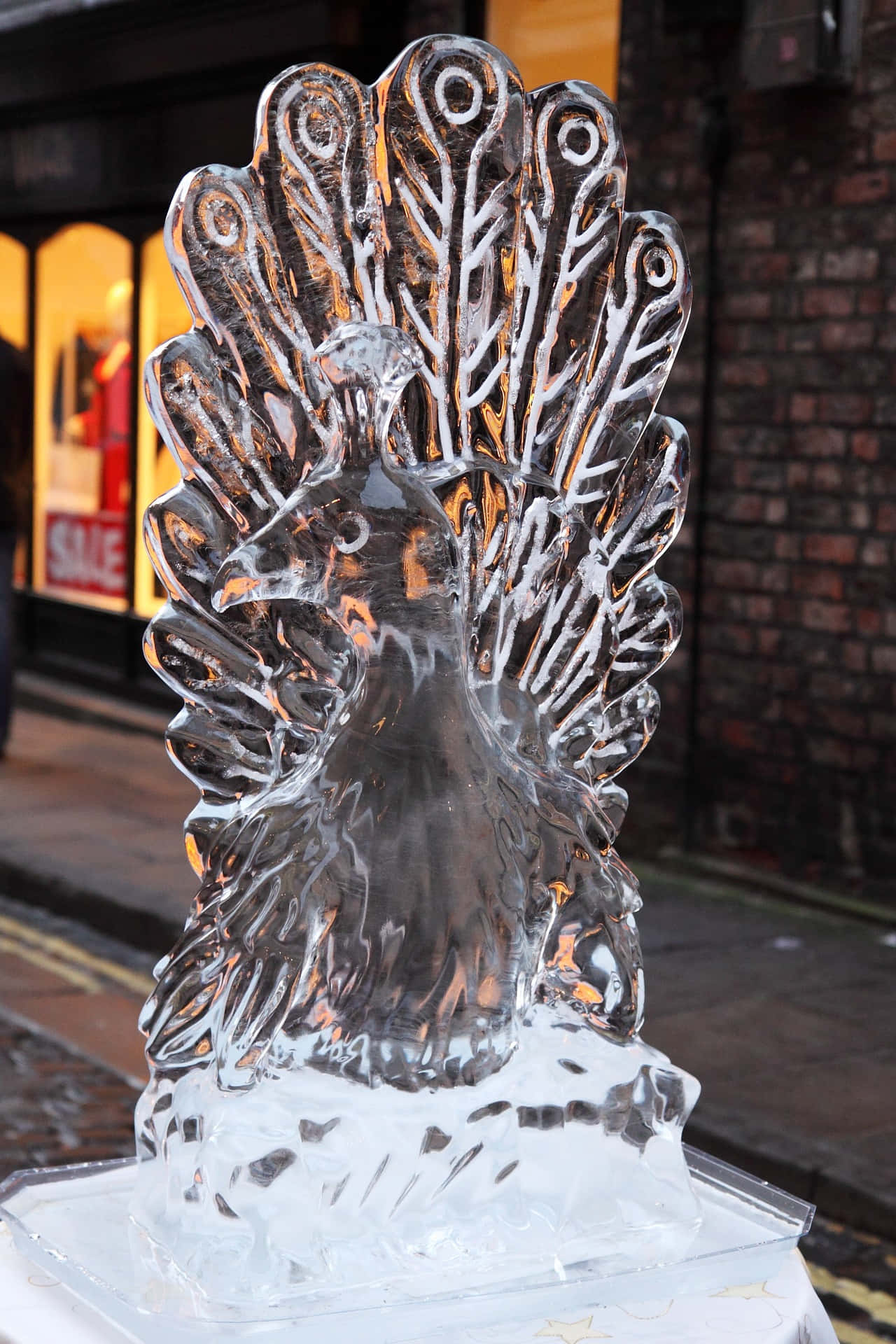 Ice Sculpture 桌布 壁紙 — 黃昏時分，一座細節驚人的孔雀冰雕，尾羽展開如扇，矗立在磚砌建築前的人行道上。