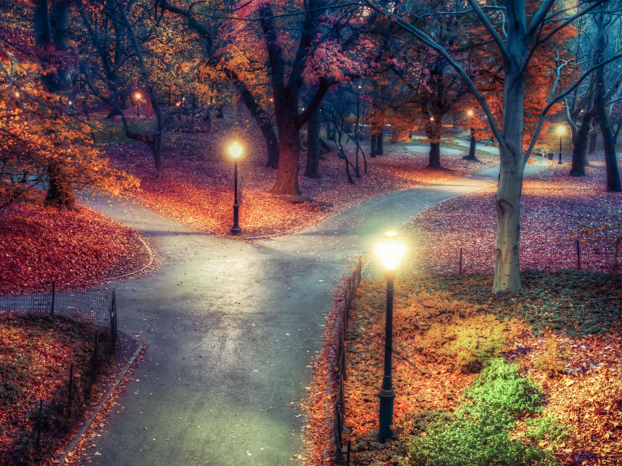 Autumn Evening 桌布 壁紙 — 黃昏時分，一條蜿蜒的公園小徑被發光的街燈照亮，周圍樹木的秋葉如火般絢麗。