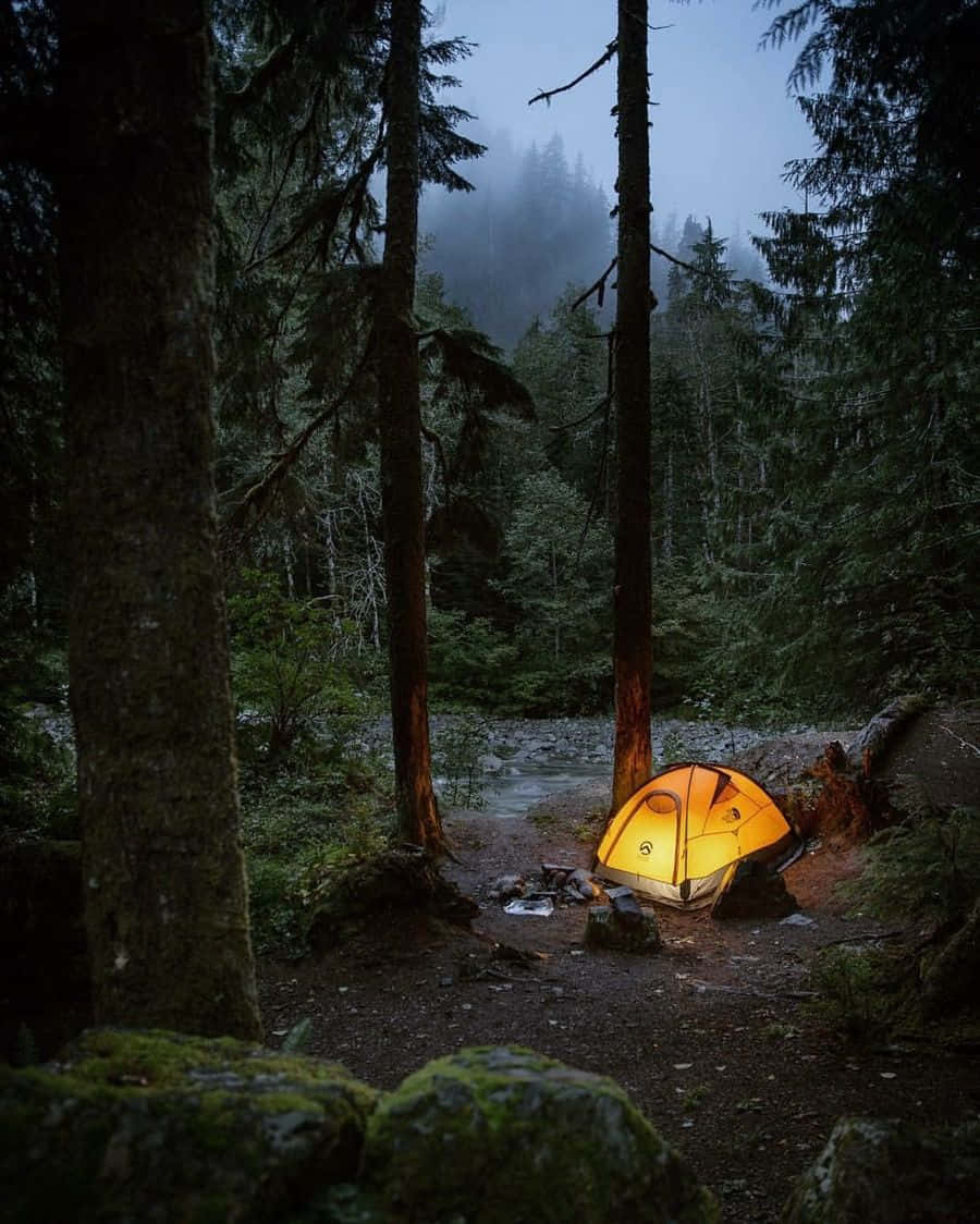 Winter Camping 桌布 壁紙 — 黃昏時分，霧氣瀰漫的森林中，一頂發光的橙色帳篷坐落其中，附近有高大的樹木和一條小溪。