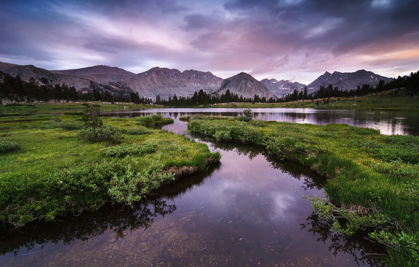 High Sierra 桌布 壁紙 — 黃昏時分寧靜的山間湖泊，紫色雲彩倒映在平靜的水面上，四周環繞著茂密的綠色草地。