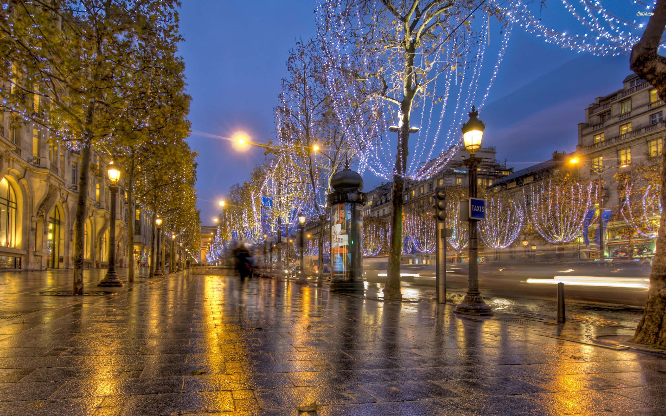 french 桌布 壁紙 — 黃昏時分濕漉漉的巴黎街道反射著金色的路燈光線和懸掛在光禿樹木之間的藍色童話燈。