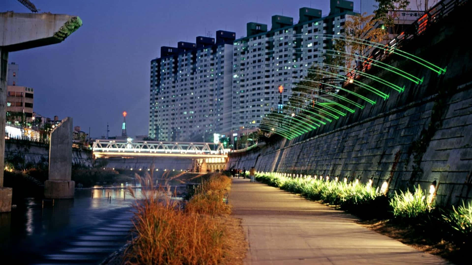 South Korea 桌布 壁紙 — 黃昏時分的河畔步道，被綠色燈光和發光植物照亮，背景是高層公寓大樓。