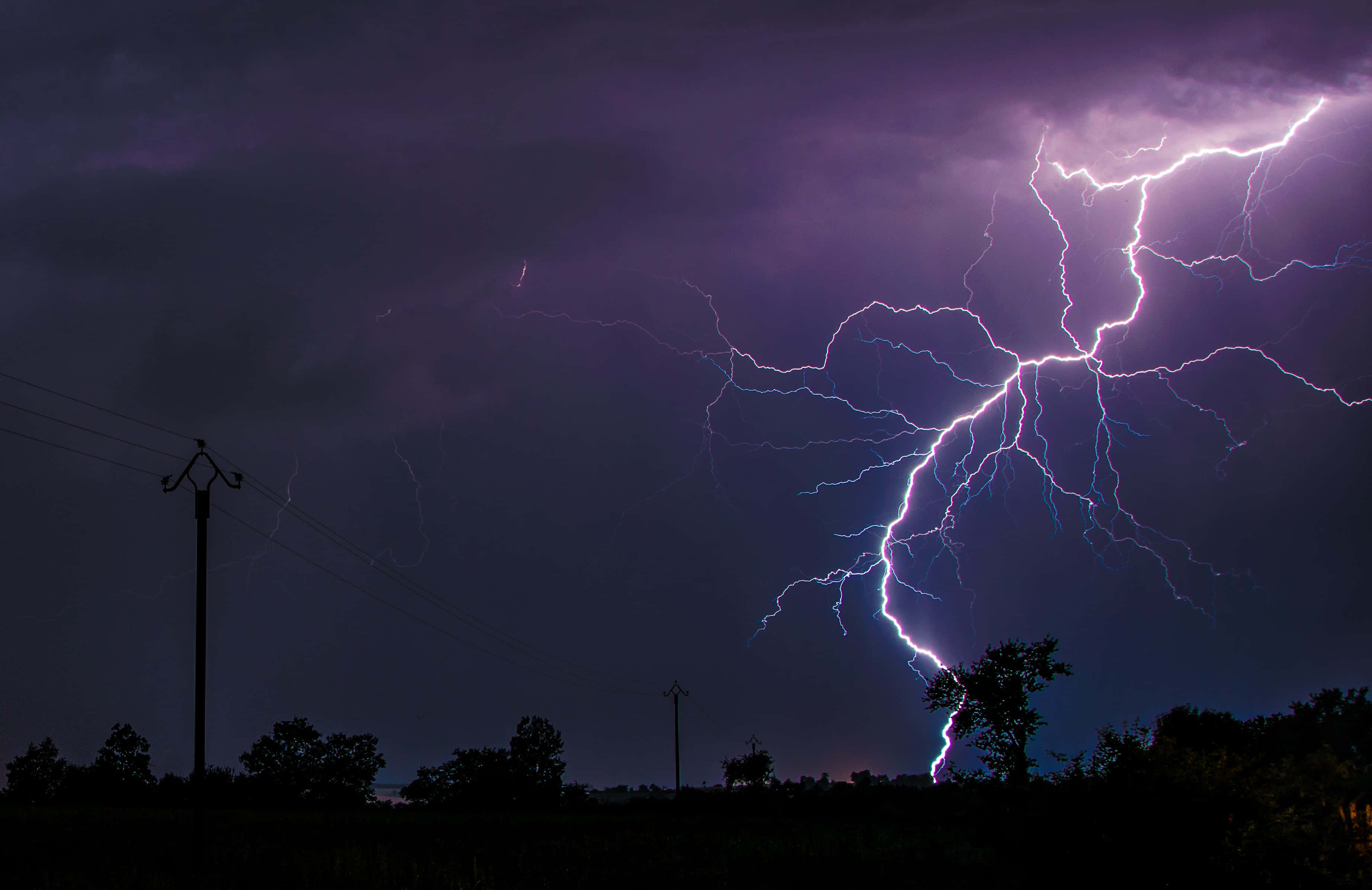 黃昏時分的電力風暴 壁紙 — 一道戲劇性的紫色閃電在暴風雨的夜空中分叉，映襯著剪影般的樹木和電線。