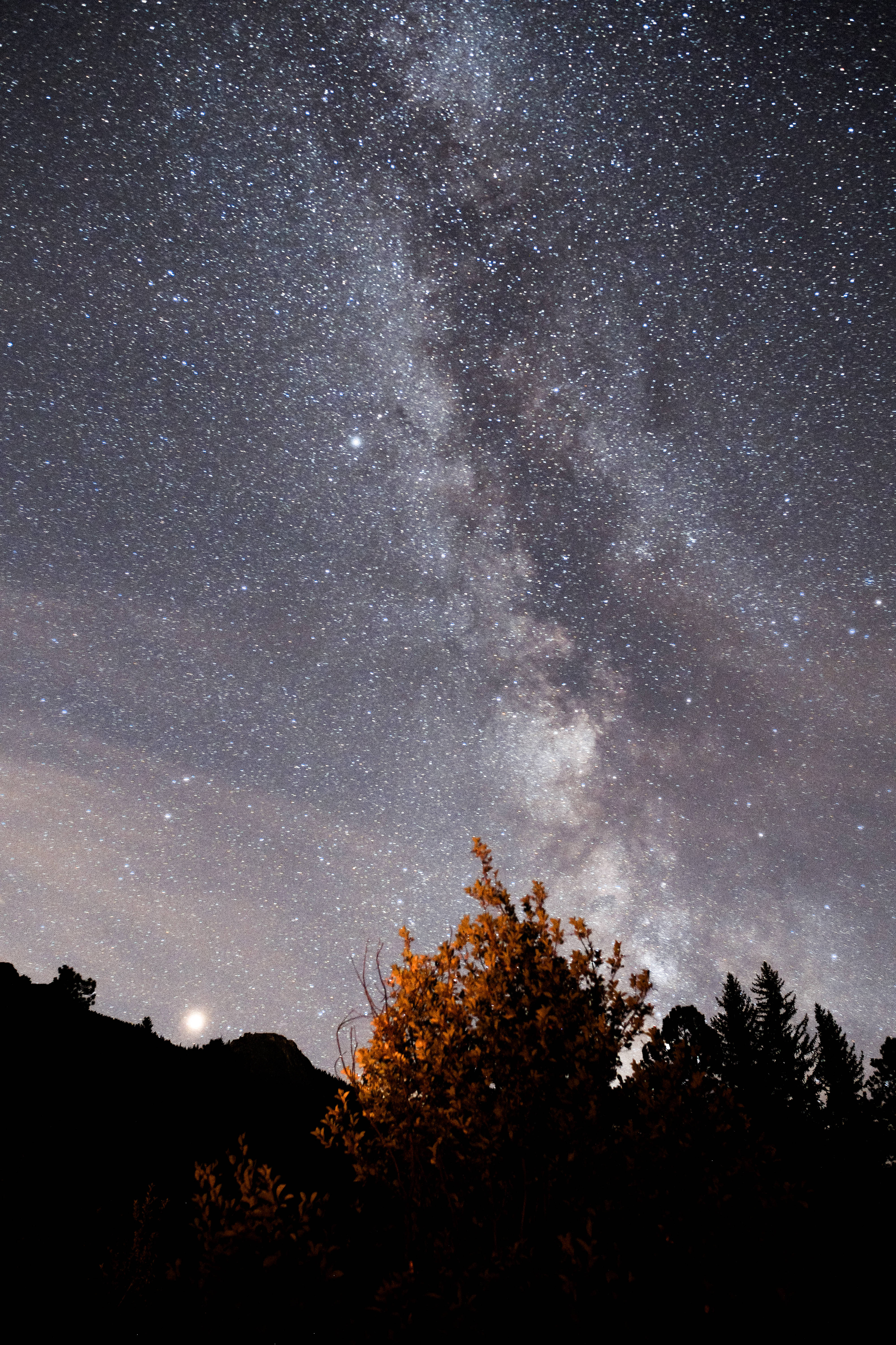 黃樹與夜空星系 iPhone 壁紙 — 銀河系在繁星點點的夜空中劃過一道弧線，映襯著剪影般的樹木和山脈，還有一輪發光的月亮。