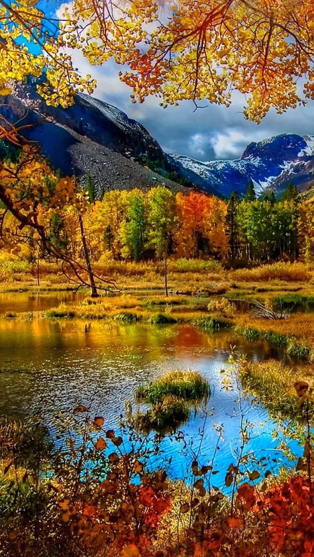 黃樹與藍山秋日 iPhone 壁紙 — 鮮豔的秋葉環繞著寧靜的山間湖泊，在戲劇性的天空下映照出白雪覆蓋的山峰。